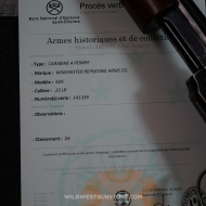 Excellente Winchester 62A Calibre 22LR canon miroir