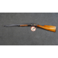 Winchester 1906 Takedown calibre 22LR canon miroir