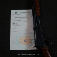 Winchester 1906 Takedown calibre 22LR canon miroir