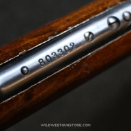 Winchester 1906 Takedown calibre 22LR canon miroir