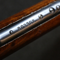 Winchester 1906 Takedown calibre 22LR canon miroir