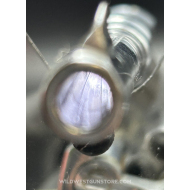 Smith Wesson, Ladysmith 2nd model canon miroir cal.22