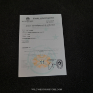 Fusil Winchester modèle 1897 calibre 12 Takedown