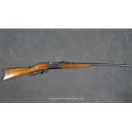 Savage Rifle modèle 1899 canon miroir de 26'' miroir, excellent état restauré