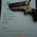 Pistolet de Collection de Poche Sharps Pepperbox Beaux canons calibre 22