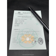 Smith & Wesson Pistolet Calibre 22 LR miroir longueur 10'' de précision modèle 1891