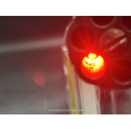 Pistolet de collection poudre noire Allen & Thurber baby Dragoon pepperbox