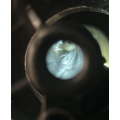 Colt Single Action Army Bisley Model Calibre .32-20 WCF – Fabrication 1899 Canon 4¾’’