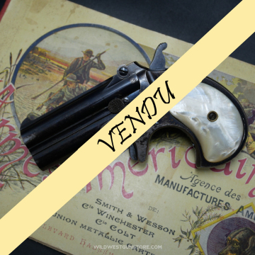 Superbe Derringer Remington 95 canons miroirs pistolet collection calibre 41RF poudre noire