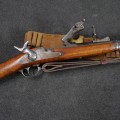 Historique US Army Springfield Trapdoor 1873 canon miroir