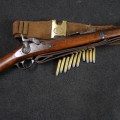 Historique US Army Springfield Trapdoor 1873 canon miroir