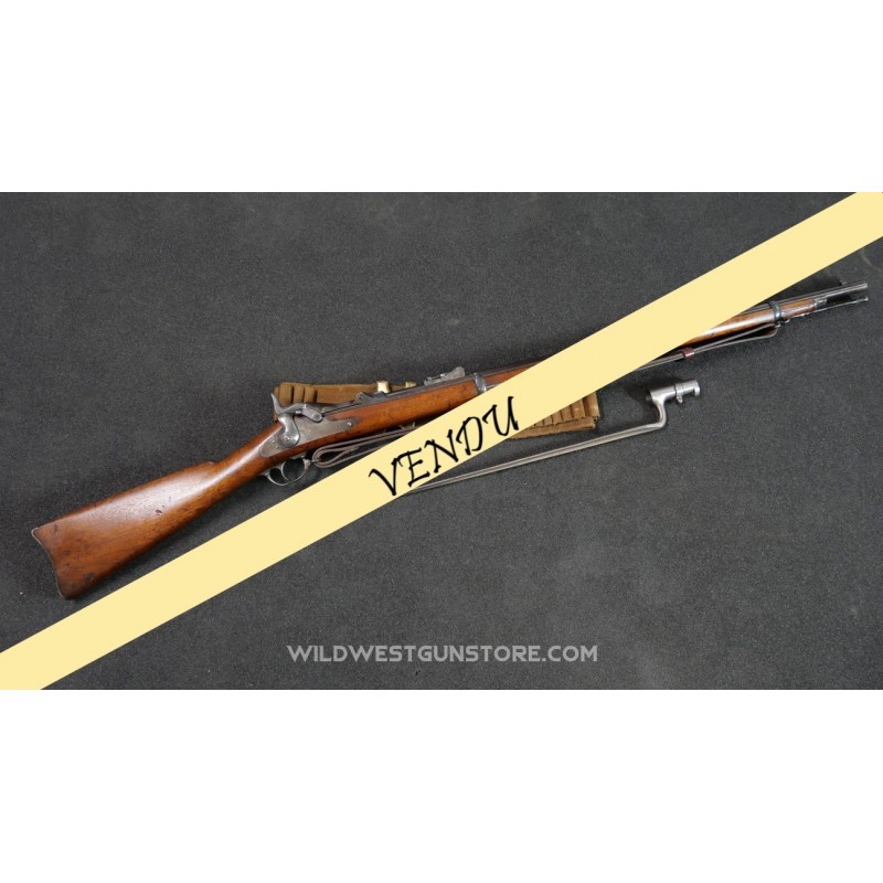 Historique US Army Springfield Trapdoor 1873 canon miroir