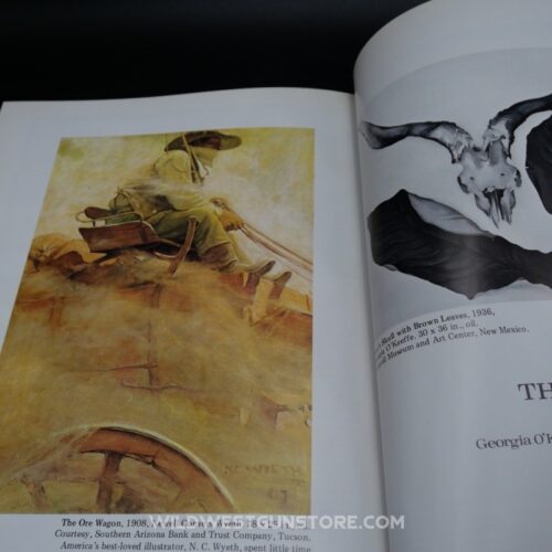 Livre The Lure Of The Great Western