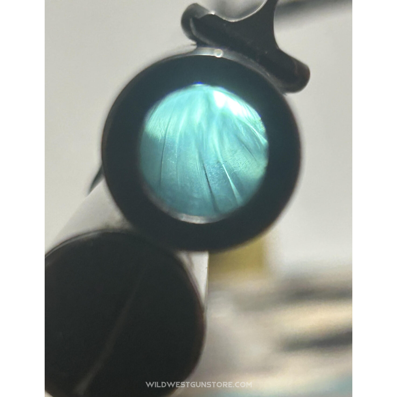 Winchester 1886 Canon Miroir Calibre 45-90