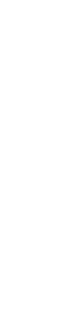 bg-left-slide